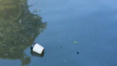 Bir kahve fincanı, yumuşak doğal ışık altında, yansımalar ve yapraklarla çevrili durgun suyun üzerinde sürüklenir.