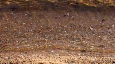 Küçük dalgalar kumlu sahilde süzülüyor