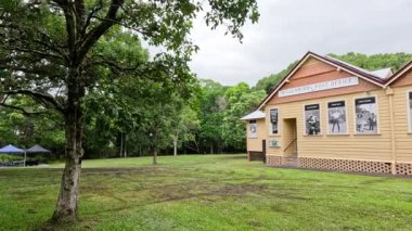 Zamanla ağaçların arasında huzurlu bir ev