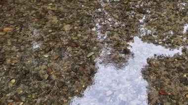 Aburi Saba bir restoranda hazırlanıyor.