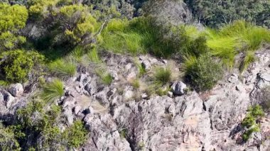 Aburi Saba bir restoranda hazırlanıyor.