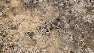 Dalgalar ve gelgit havuzlarıyla kayalık sahil