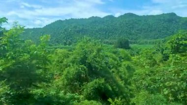 Orman ve nehir manzarası manzarası