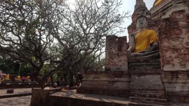 Tarihi Budist tapınağını ziyaret eden turistler harabeye döndü.