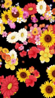 Renkli çiçekler dinamik bir şekilde siyah arka plana düşerek canlı ve canlı bir görsel deneyim yaratırlar.