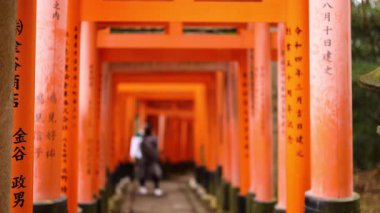 Geleneksel Japon Torii kapıları altında yürüyen insanlar