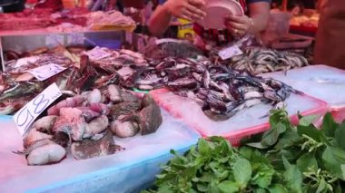 İşlek bir pazarda taze deniz ürünleri tedarikçisi