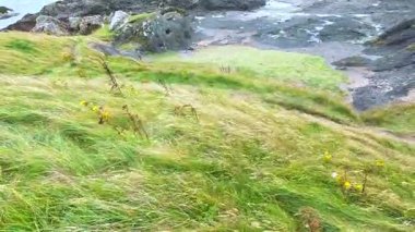 Kayalık İskoç kıyılarına dalgalar çarpıyor