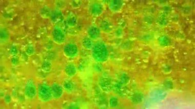 Asit kabartma tozuyla tepkimeye girince kabarcıklar oluşur.