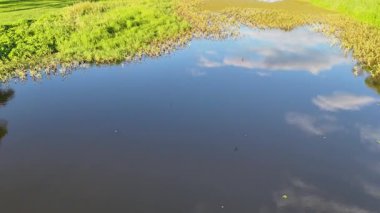 Göletin, sazlıkların ve vahşi yaşamın havadan görünüşü