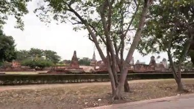 Tarihi kalıntılarla dolu bir parkta huzurlu bir yürüyüş.