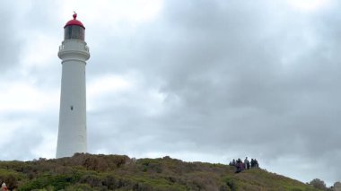 Bir deniz feneri, yeşil ve uzak ziyaretçilerle çevrili bulutlu bir gökyüzüne karşı dimdik ayakta duruyor, sakin bir sahile çekilmiş.