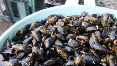 Pazar ortamında midye yakın plan