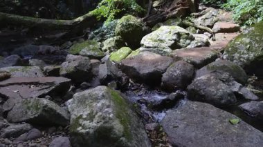 Yağmur ormanlarındaki kayaların arasından akan akarsu