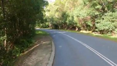 Etrafı yemyeşil ormanlarla çevrili