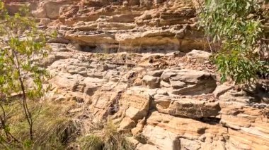 Gökyüzü altında bitki örtüsüyle kayalık uçurum