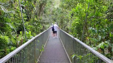Turistler, canlı yeşillik ve doğal ışıkla çevrili, yemyeşil bir yağmur ormanında asma köprüden geçiyorlar.