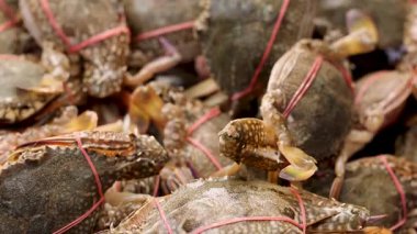 Pazar ortamında iplerle bağlanmış yengeçler