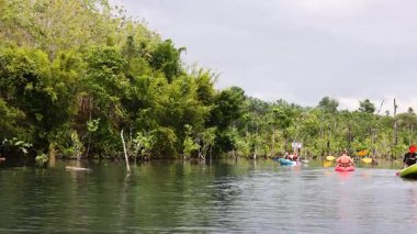 Kayakçılar Tayland 'ın Yengeç şehrinde yemyeşil kanallarda gezinirler.
