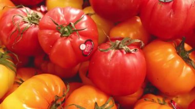 Melbourne pazarında çeşitli domatesler sergileniyor