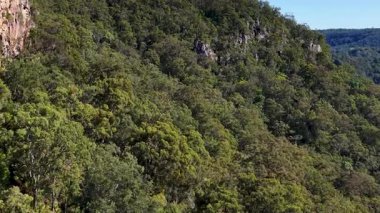 Nimbin, NSW, Avustralya 'da yoğun yeşil orman ve kayalık kayalıkları gün ışığında görüntüler.