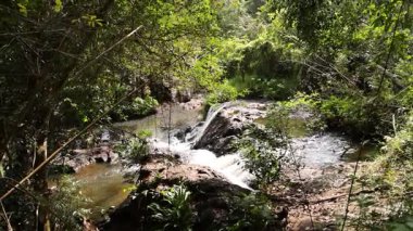 Yeşil yapraklarla çevrili çağlayan şelale.