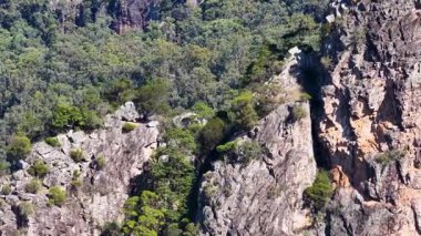 İnsansız hava aracı görüntüleri Nimbin Rocks 'un engebeli oluşumlarını ve açık gökyüzünün altında yemyeşil okaliptüs ormanlarını yakalıyor ve Avustralya' nın doğal güzelliklerini gözler önüne seriyor.