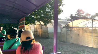 Doğayı ve seraları gösteren manzaralı bir gezinti.