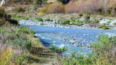 Glenorchy, Yeni Zelanda 'da, parlak doğal ışık altında yemyeşil bir nehir akar.