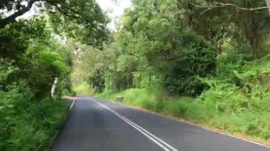 Yeşilliklerle çevrili dolambaçlı bir yolda bir yolculuk
