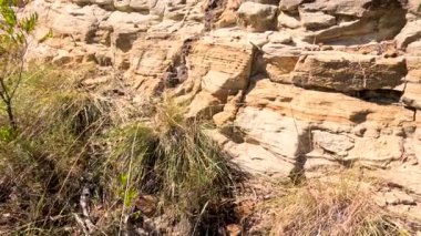 Bitki örtüsü ve erozyonla kayalık yamaç