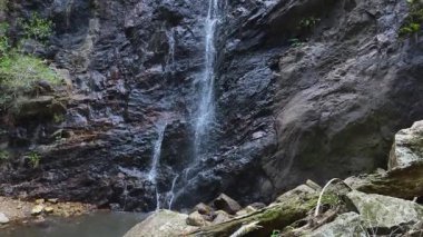 Şelale yağmur ormanlarında kayalık yamaçtan aşağı dökülüyor.