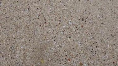 Kumsal yüzeyine saçılmış kabuklar.