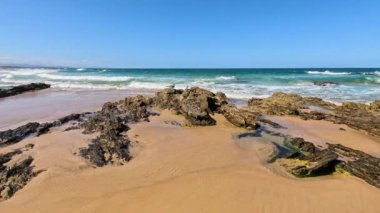 Kayalık bir sahilde martılar ve dalgalar