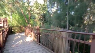 Melbourne Hayvanat Bahçesi 'ndeki yemyeşil alanda ahşap yol