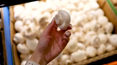 Bir el iyi aydınlatılmış bir süpermarket ortamında beyaz düğmeli mantarları inceliyor, tazelik ve kalite seçimi vurguluyor