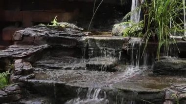 Etrafı yeşilliklerle çevrili kayaların üzerinde çağlayan su.