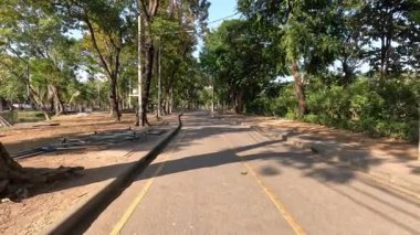 Ağaçlar ve gölgelerle çevrili sakin bir yürüyüş yolu.