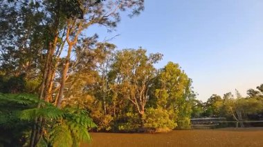 Bereketli yeşilliklerle çevrili huzurlu bir dere.