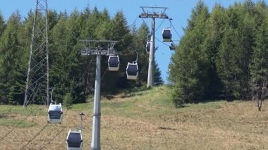 Ormanda hareket eden kablo arabalar.