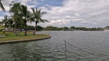 Kuğu şekilli kürek tekneleri gölde hareket ediyor.