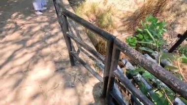 Bir kadın manzaralı bir hayvanat bahçesi yolunda yürüyor