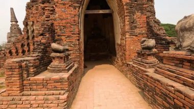 Ayutthaya tapınağındaki antik Buda heykelini araştırıyorum.