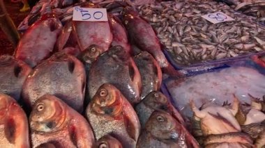 Bir markette buzda sergilenen çeşitli balıklar