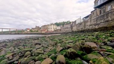 Kıyı şeridi boyunca yosun kaplı kayalar