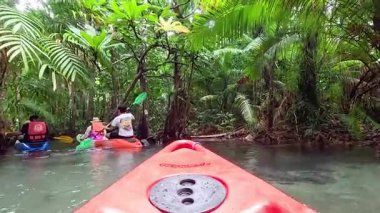 Tayland, Krabi 'deki yemyeşil su yollarını araştırıyorum.