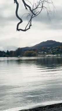 Wanaka Gölü 'nün sakin suları bulutlu gökyüzünün altında, çıplak ağaç dalları tarafından çerçevelenmiş, sakin ve yansıtıcı bir atmosfer yaratıyor.