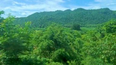 Orman ve nehir manzarası manzarası