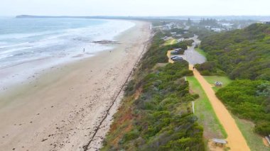 Hava görüntüleri, Ocean Grove, Victoria 'da verimli yeşillik ve yumuşak gün ışığı altında hafif dalgalarla manzaralı bir sahil yolu yakalar.