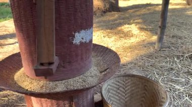 Tayland kırsalında elle pirinç öğütme işlemi